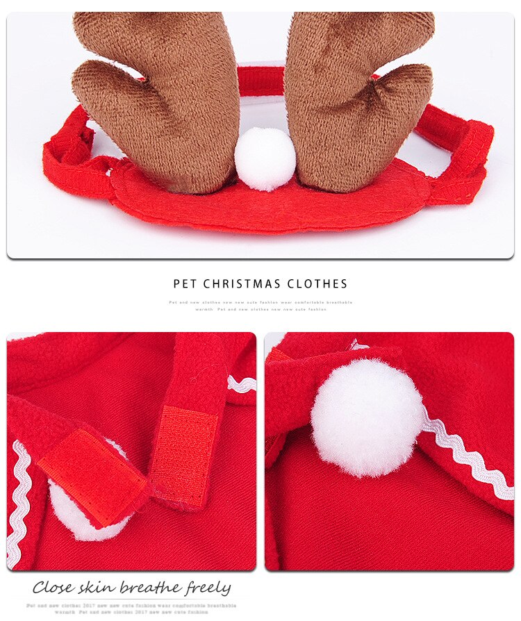 Pet Christmas Gear